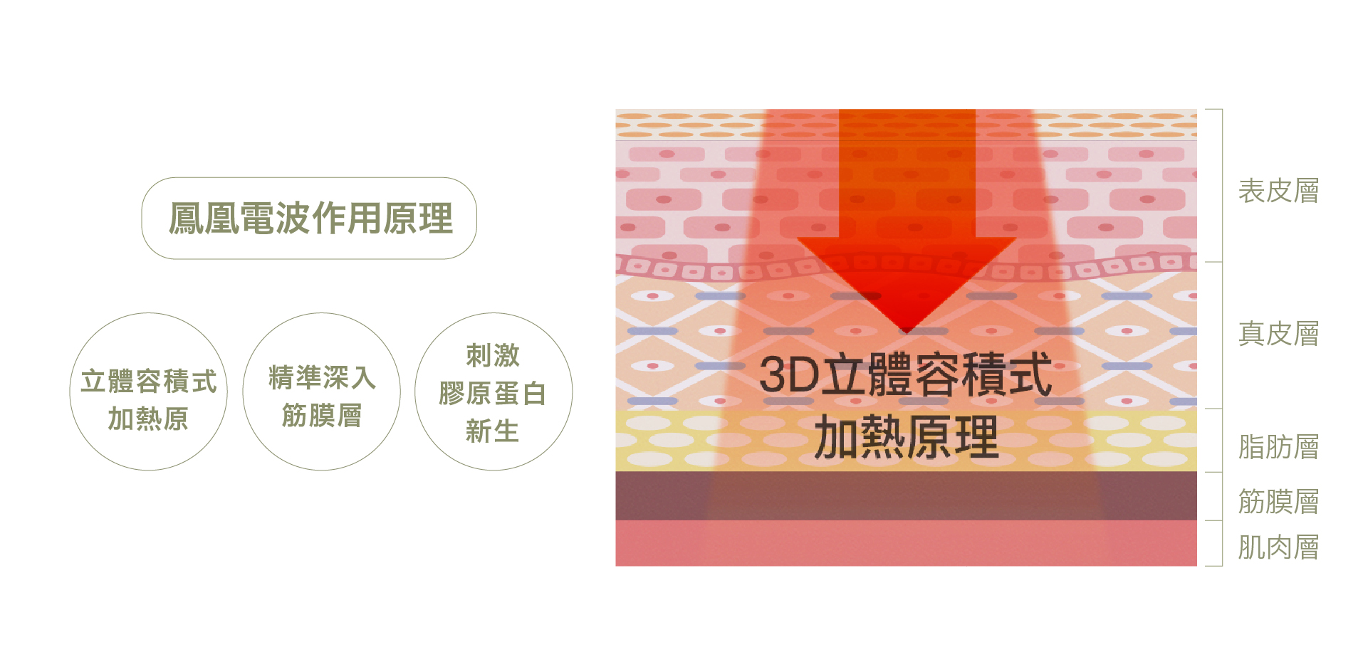 鳳凰電波作用原理