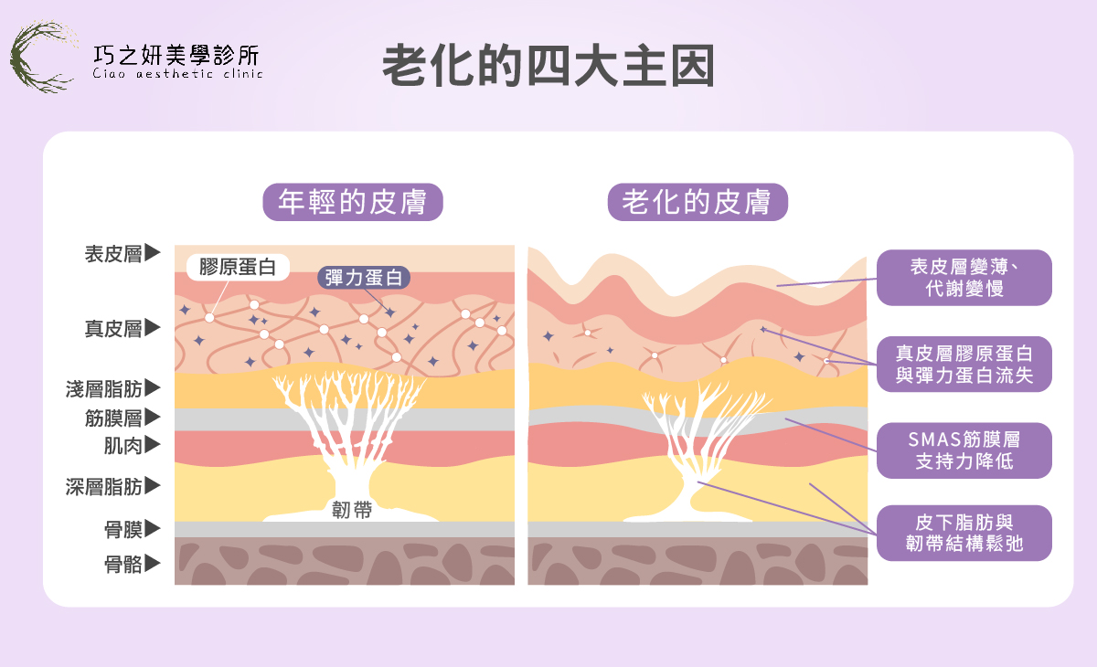 巧之研抗老-老化保養的下一步是什麼-02